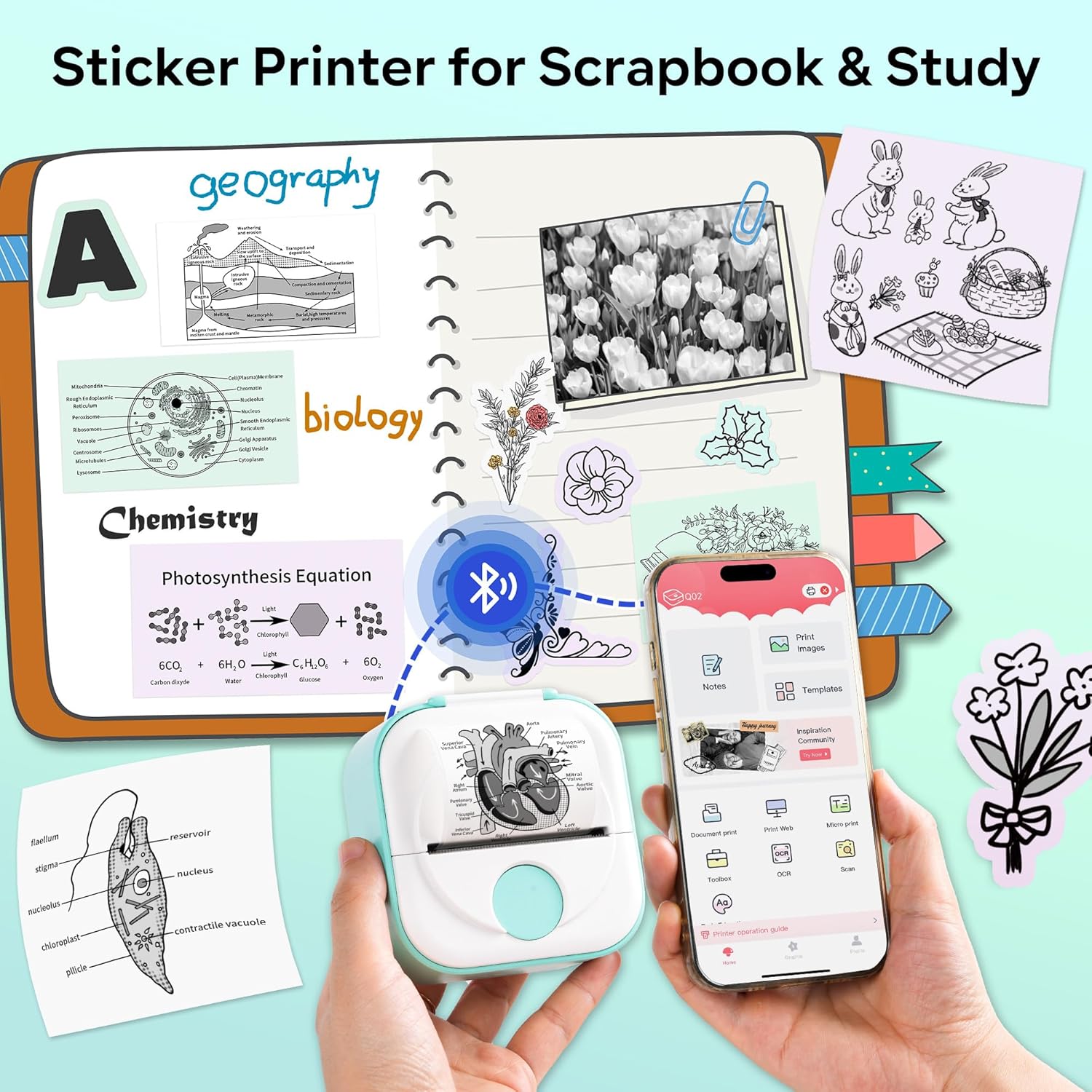 Phomemo Q02 Mini Sticker Printer, Print Pod for Bullet Journal, Study Notes, Kids Gift, DIY, Bluetooth Thermal Printer Compatible with Phone & Tablet