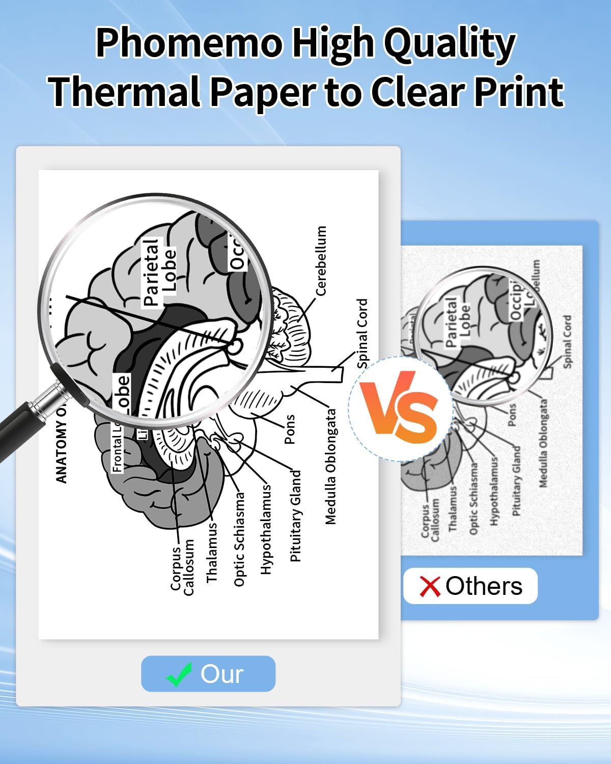 Phomemo 1/2 Rolls Thermal Paper for M08F Portable Printer - Phomemo