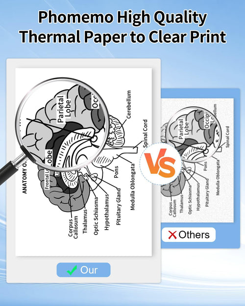 Phomemo 1/2 Rolls Thermal Paper for M08F Portable Printer - Phomemo